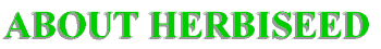 about_us.gif (2757 bytes)