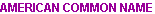 american.gif (1114 bytes)