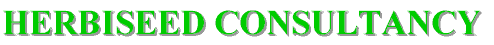 consultancy_logo.gif (3608 bytes)