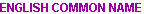 english.gif (1094 bytes)