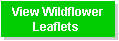 view_wildflower_leaflets.gif (1269 bytes)