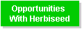 opportunities2.gif (1299 bytes)