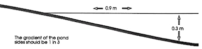 pond_slope.gif (5080 bytes)