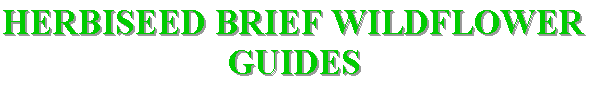 wildflower_guides.gif (3538 bytes)