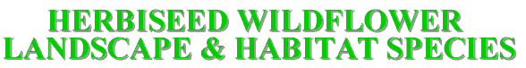 wildflower_logo.gif (6168 bytes)