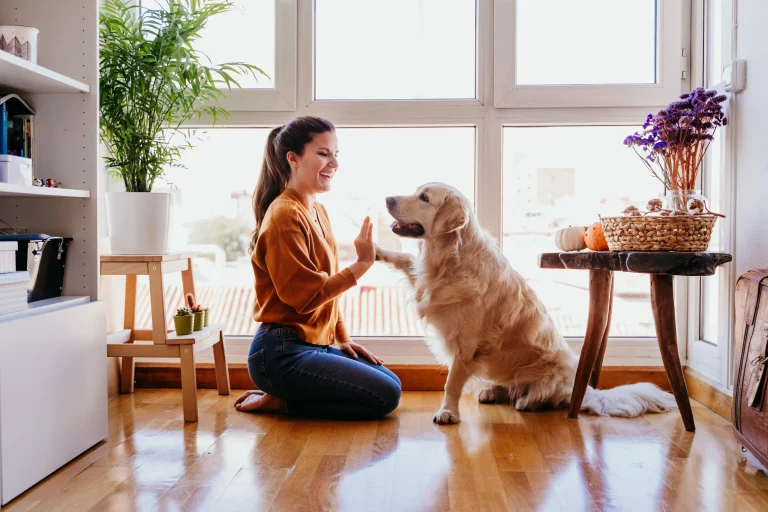 Pets Care